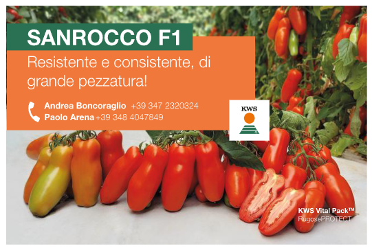 sanrocco